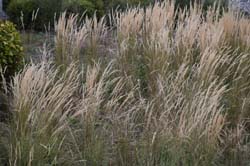 19-09_Queb_0143_GA2_7675