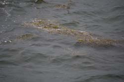 19-09_Queb_0169_GA2_7686